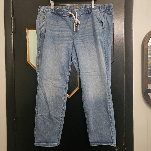 Torrid Women's Plus "Weekender" Relaxed Fit Jeans 3 / 3X Short Stretch Pull-on - Picture 1 of 4